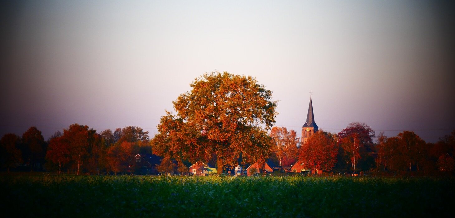 Woningen te koop